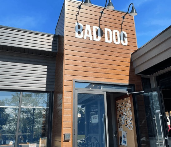 Bad-Dog-Location-007-875x750